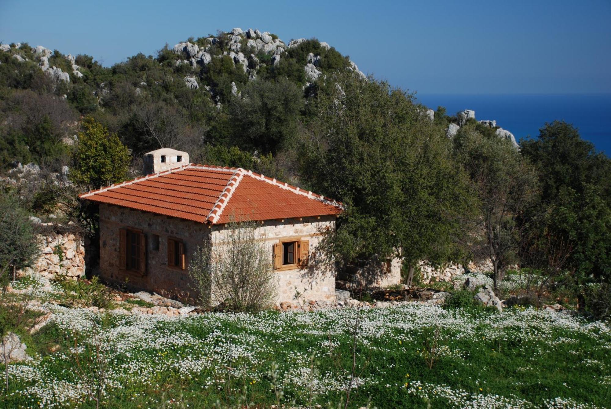 Davazlar Hoyran Wedre Country Houses מראה חיצוני תמונה